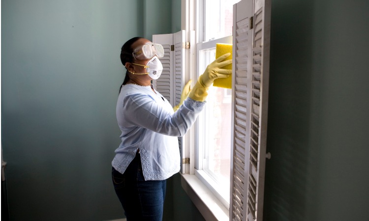 Window Cleaning 101: Essential Tools and Techniques for Orange County Residents